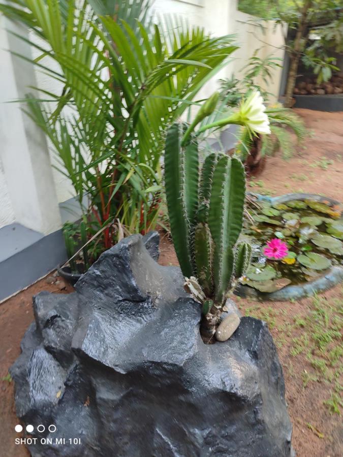 Vyshnavi Home Stay Thanniyam Buitenkant foto